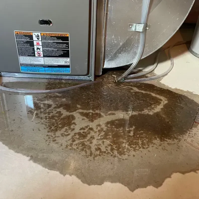 Appliance Leak Cleanup in Shiner, TX